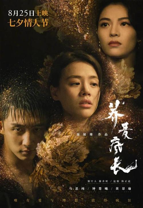 海地护照怎么购买